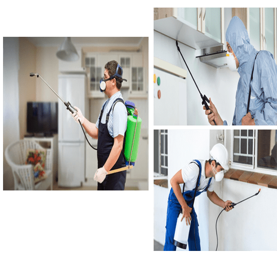 Pestron Services Private Limited